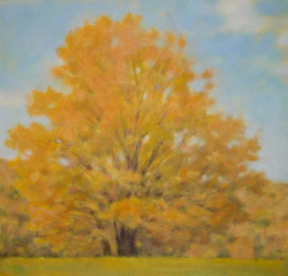 Daisy Craddock - Maple, Early Fall