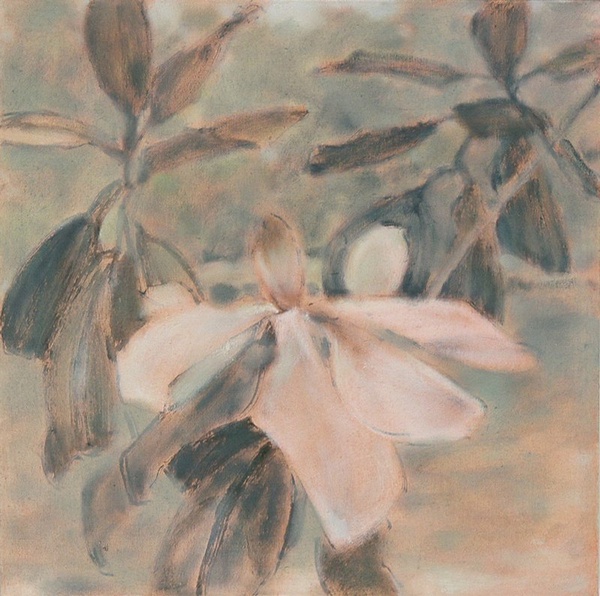 Daisy Craddock - Magnolia