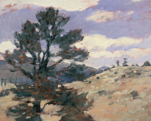 Daisy Craddock - Ponderosa study