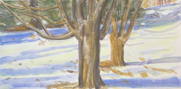 Daisy Craddock - Little Maples in snow