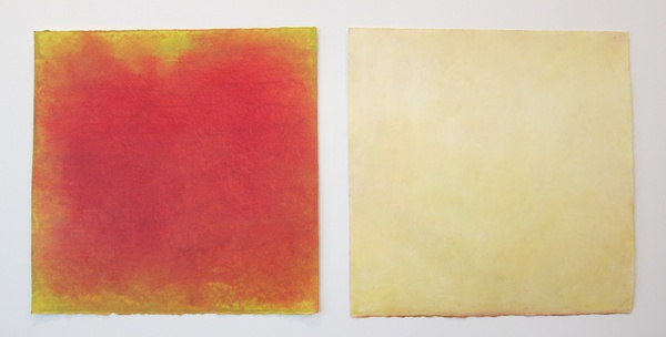 Daisy Craddock - Fiorelle (D'Aquisto) 