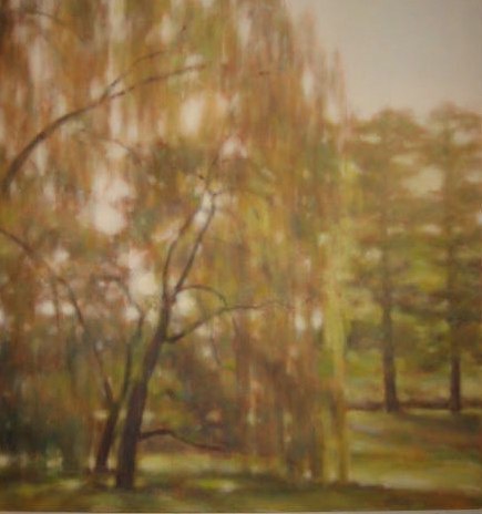 Daisy Craddock - Willows
