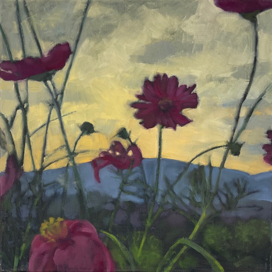 Daisy Craddock - Cosmos at Dusk