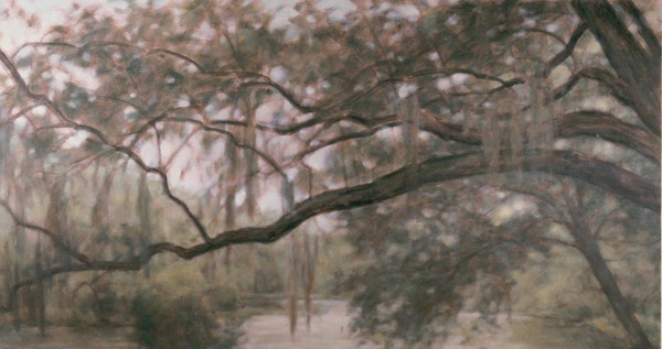 Daisy Craddock - Live Oaks, City Park