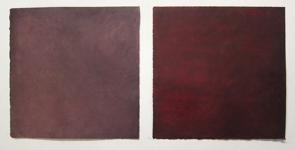Daisy Craddock - Tivoli Beet