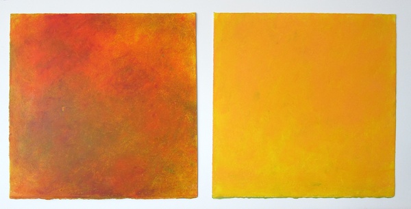 Daisy Craddock - Mango