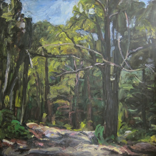 Daisy Craddock - View from the Lake