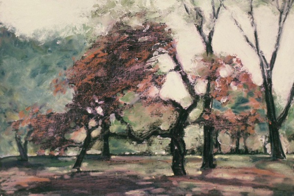 Daisy Craddock - Study for Flowering Cherry