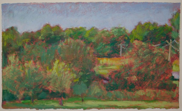 Daisy Craddock - Backyard Near T’burg