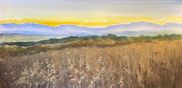 Daisy Craddock - Field of Dreams