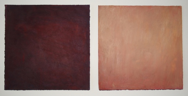 Daisy Craddock - Winter Plum (First)