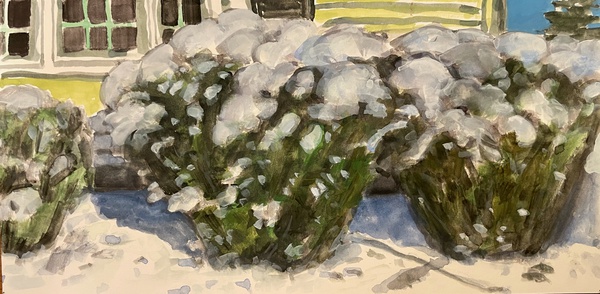 Daisy Craddock - Foliar Geometry (first snow)