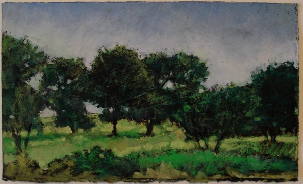 Daisy Craddock - Apple Orchard Near Billy’s