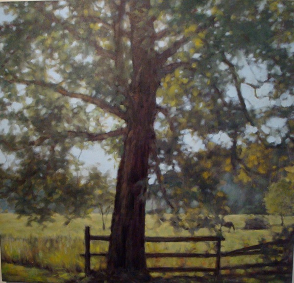 Daisy Craddock - Split rail fence